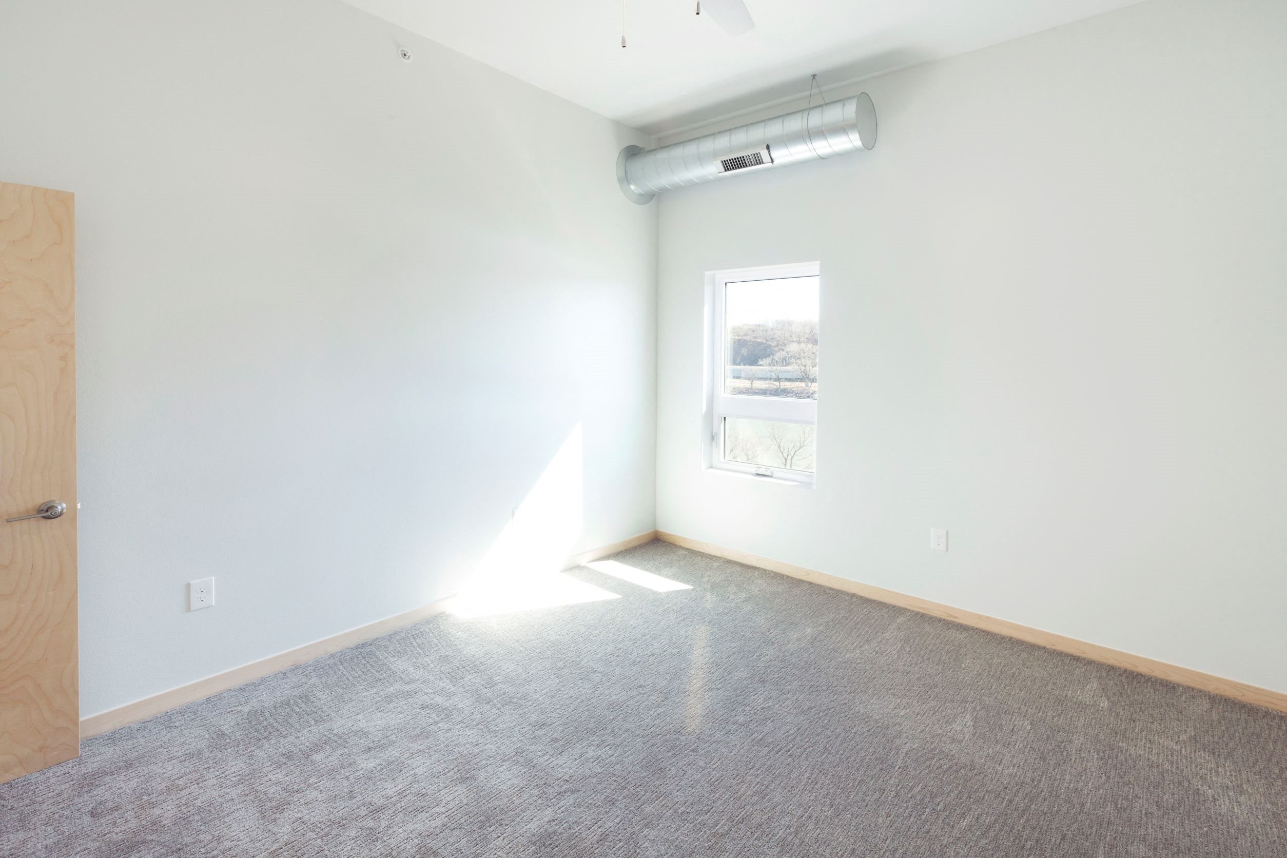 Gallery Photo 4
